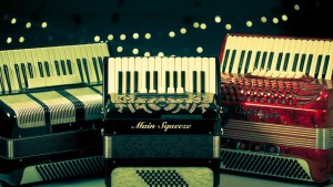 intretinere acordeon